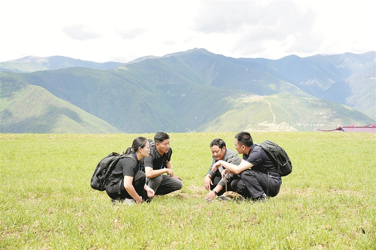 1.jpg 1.jpg